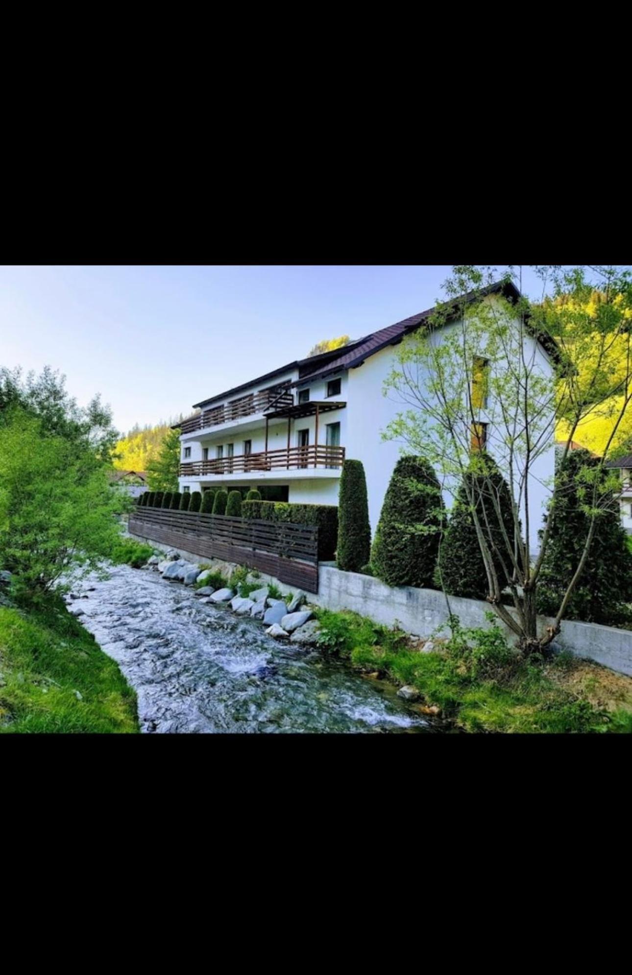 House Of River Moeciu De Sus Buitenkant foto